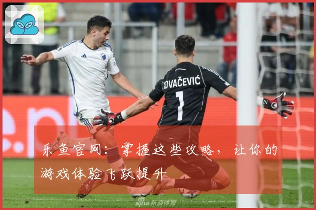 乐鱼官网：掌握这些攻略，让你的游戏体验飞跃提升